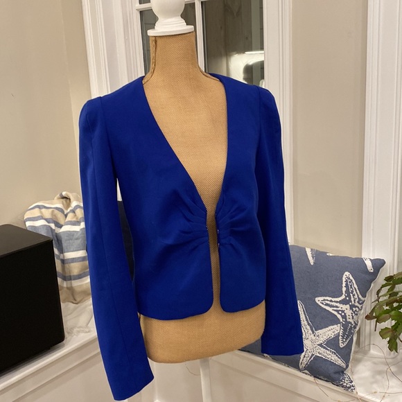 H&M Royal Blue Blazer - Picture 7 of 16